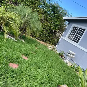Eco Shared Paradise