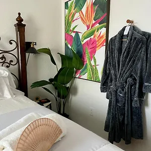Apartment Little Havana Suites: Urban Oasis With Free Parking