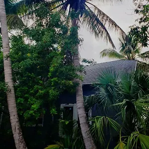 Old House Miami
