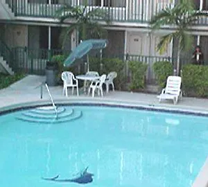 Hotel Days Civic Center Miami