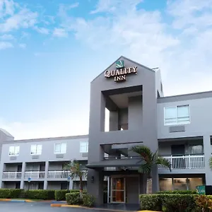 Inn Quality Miami Airport - 3*