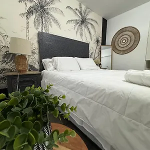 Rainbow - - Little Havanna Hotel Miami